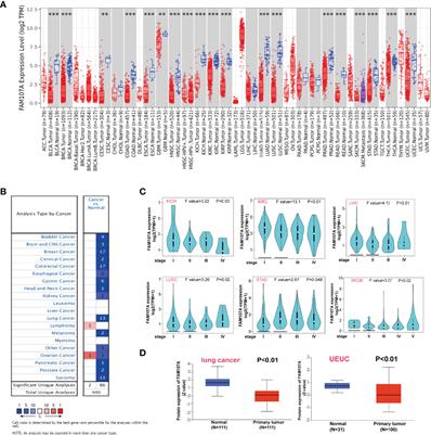 Identification of the Putative Tumor Suppressor Characteristics of FAM107A via Pan-Cancer Analysis